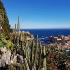 Exotischer Garten Monaco