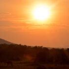 Sonnenaufgang über Masai Mara