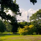 Auckland Domain