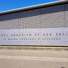 National Aquarium of New Zealand