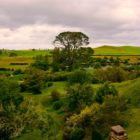 Hobbiton Landschaft