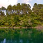 Ufer des Waikato-Rivers