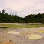 Wai-O-Tapu Thermalpark