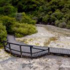 Wai-O-Tapu Thermalpark