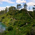 Wanderung Waikato-River