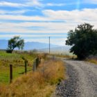 Weg auf Bikeweg in Wedderburn