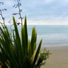 Flora und Meer Moreaki Boulders