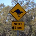 Schild Mt. Ainslie Nature Park