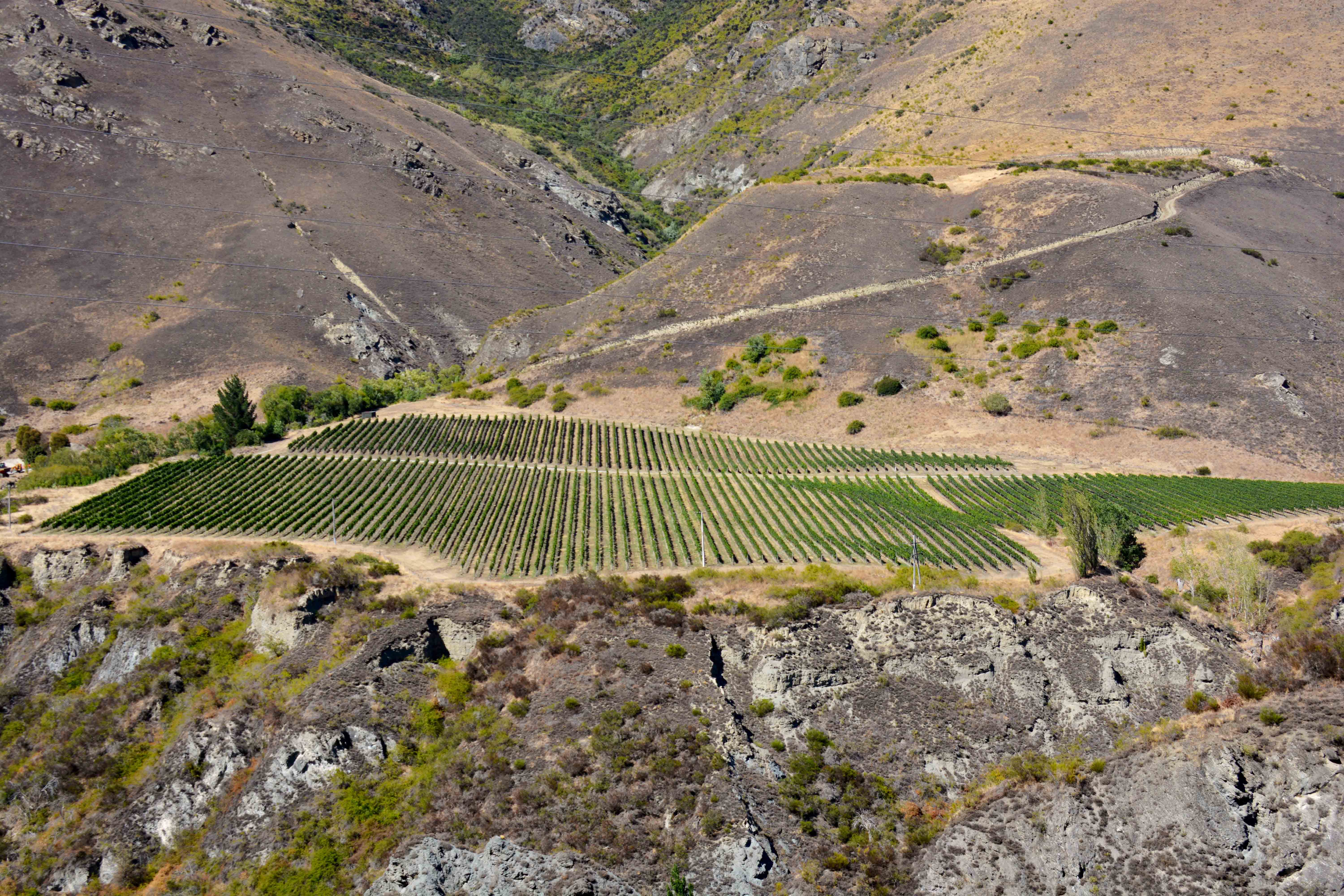 Queenstown