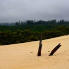 Sanddünen in der Nähe von Strahan