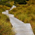 Weg auf Wanderung am Cradle Mountain