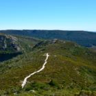 Wanderung am Cradle Mountain