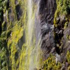 Wasserfall Milford Sound