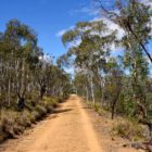 Weg auf Mt. Ainslie