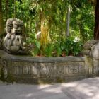 Sacred Monkey Forest Sanctuary