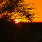 Sonnenuntergang