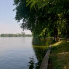See in König-Michael-I.-von_Rumänien-Park