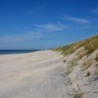 Strand Kurische Nehrung