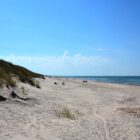 Strand Kurische Nehrung