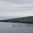Fischereibetrieb auf Suðuroy