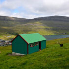 Grüne Scheune in Klaksvík