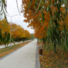 Park in Chișinău