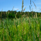 Quechee State Park