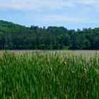 Quechee State Park