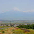 Mohnfeld und Ararat