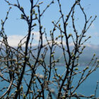 Natur bei Kloster Sewanawank